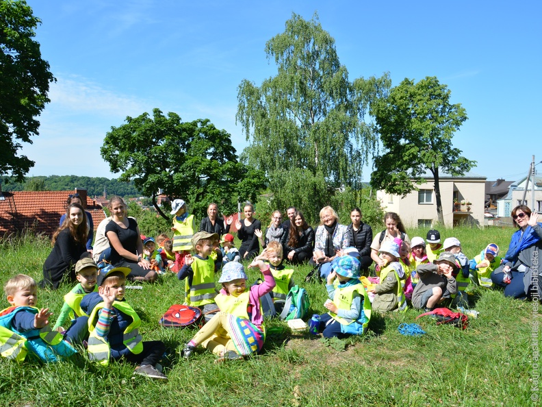 Skaitymai „Pelėdžiuko sapnas“ ant pelėdų kalno