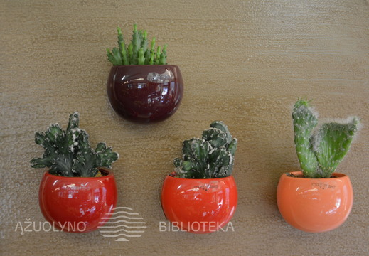 Skaitymai „Pražydęs kaktusas“ floristikos salone „Ryto rasa“