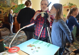 Kūrybinės stop kadro animacijos kūrimo dirbtuvės