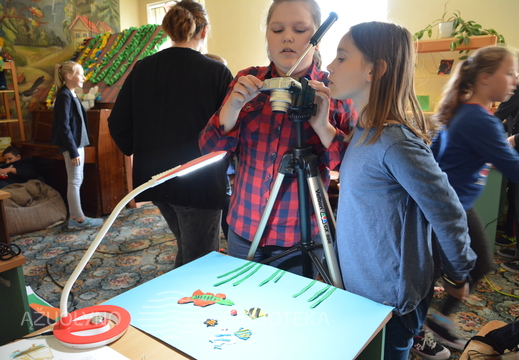 Kūrybinės stop kadro animacijos kūrimo dirbtuvės