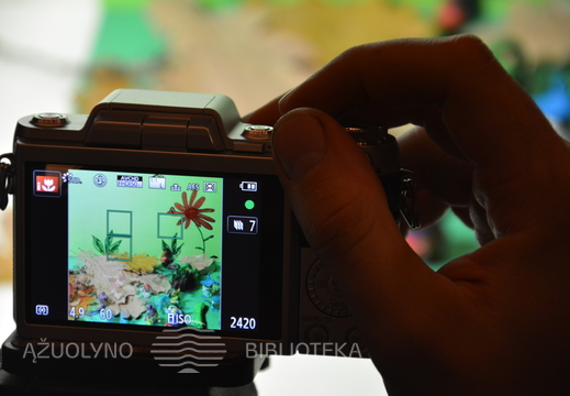 Kūrybinės stop kadro animacijos kūrimo dirbtuvės