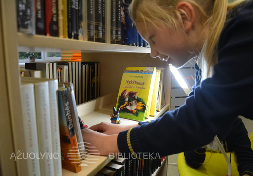 Kūrybinės stop kadro animacijos kūrimo dirbtuvės