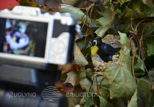 Kūrybinės stop kadro animacijos kūrimo dirbtuvės