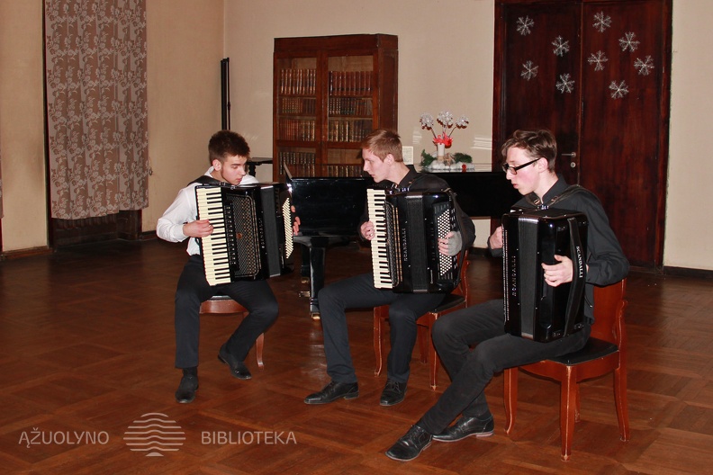 20181211_MUZ_koncertas_Užburianti akordeono muzika_ 012.jpg