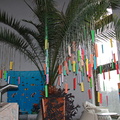 Renginio akimirka