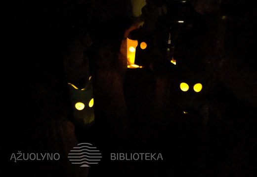 Tamsoje šviečiantys apuokai