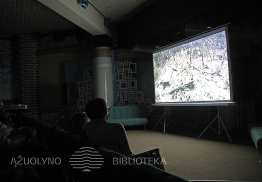 R. Barzdžiukaitės ir D. Korbos „Rūgštus miškas“