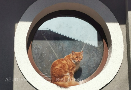 Projekto „Akimirkų istorijos“ edukacinė ekskursija senjorams: „Medinis Žaliakalnis“