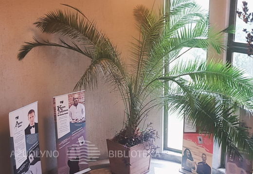 Paroda ASMENYBĖ IR KNYGA