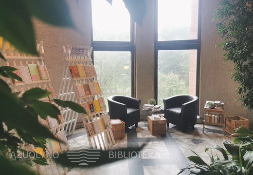 Aklas pasimatymas su knyga