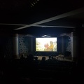 Filmas „Medaus šalis“ (Honeyland)
