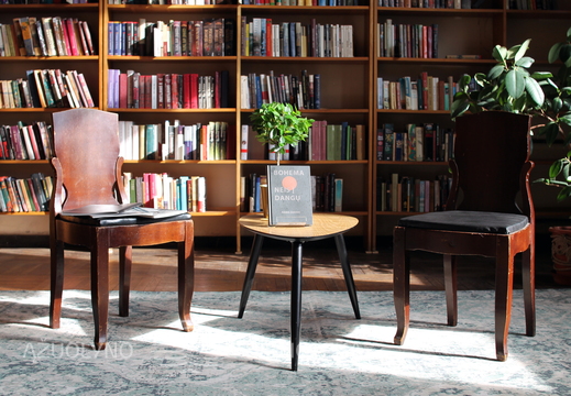 Raimos Zander knygos pristatymas