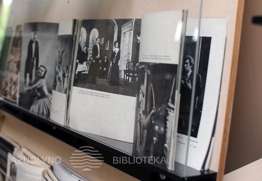 Leidinių ir dokumentų parodos "Algimantą Masiulį prisimenant..." fragmentas