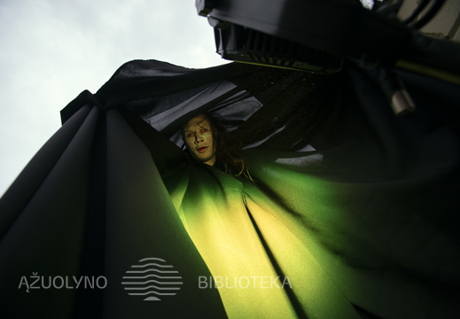 KREBŽDESIAI. Performatyvus vyksmas