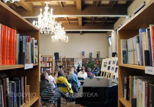 Dainoros Bučytės kūrybinių darbų paroda „Emocijos“ 