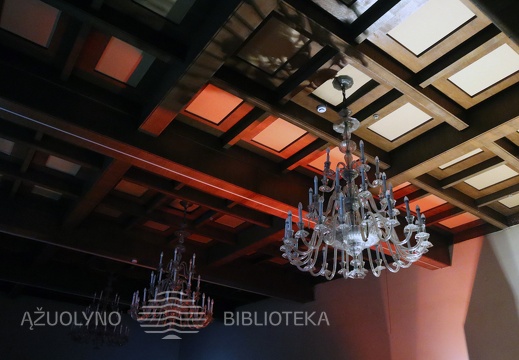 Istorijų pasakojimo vakaras: antgamtiniai reiškiniai