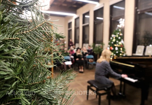 Fortepijono koncertas „Muzikos takeliais link Šv. Kalėdų…“