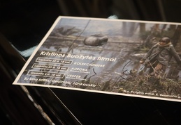 Kristinos Buožytės filmų peržiūrų ciklas su kino kritiku Gediminu Jankausku