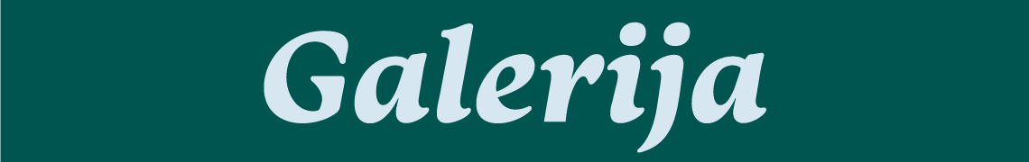 Galerija