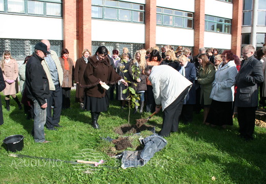 Ąžuoliuko sodinimas